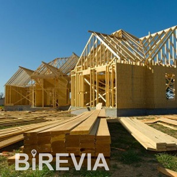 Начните строительство дома с камер видеонаблюдения и IP адреса от BiREVIA