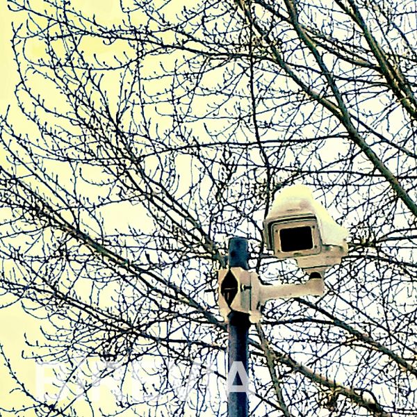 Вас не подведут камеры видеонаблюдения, установленные в загородном