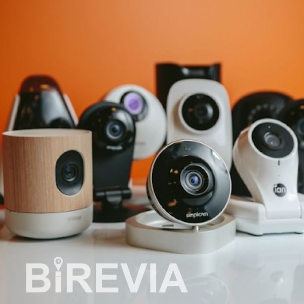 Все разнообразие моделей и производителей домашних камер, объединяет один