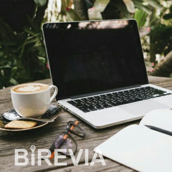 ⚠Статика для качественного удаленного доступа от сервиса BiREVIA для